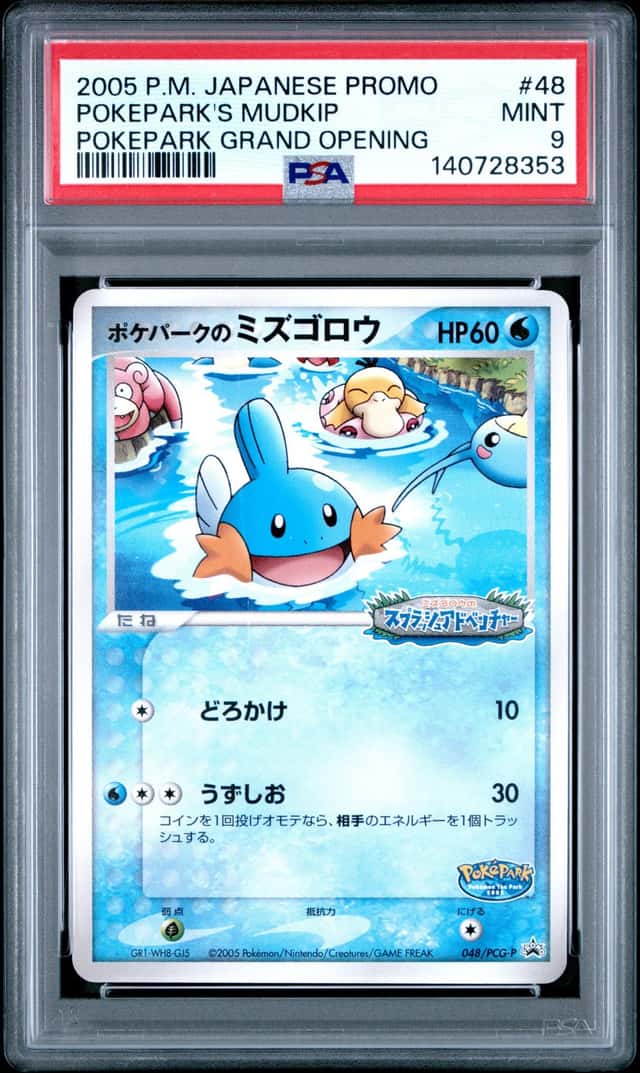 Pokepark's Mudkip