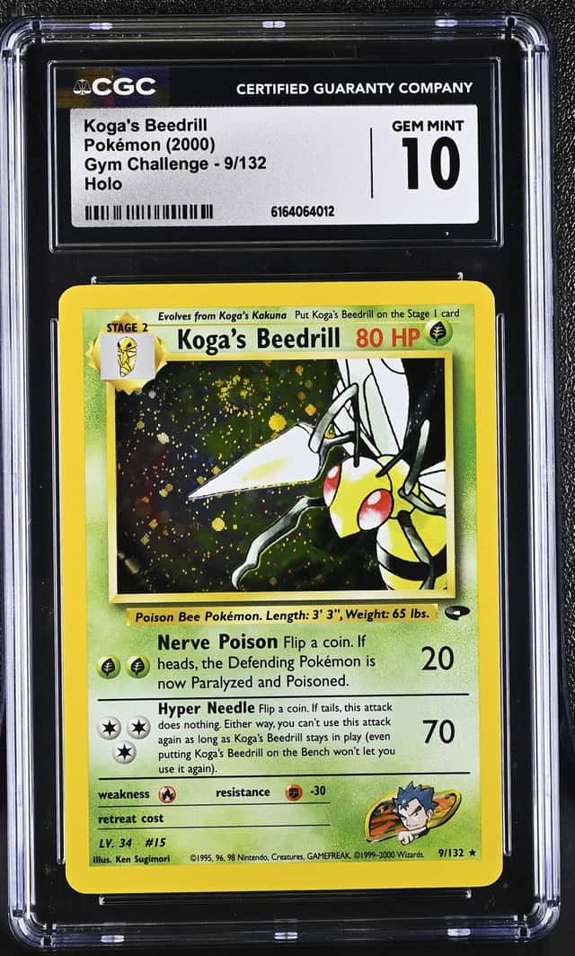 Koga's Beedrill