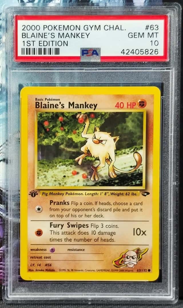 Blaine's Mankey