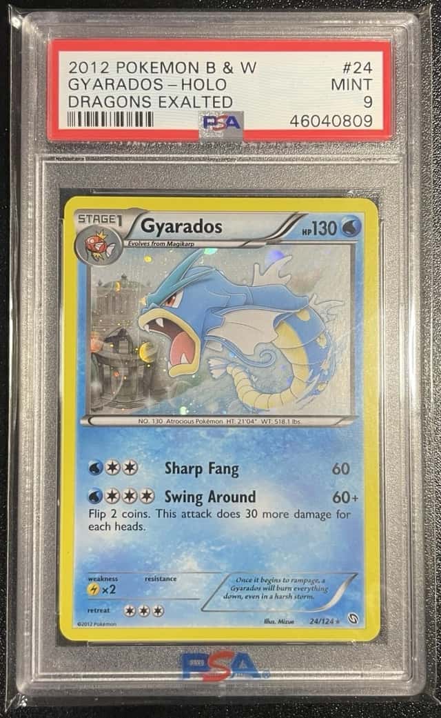 Gyarados
