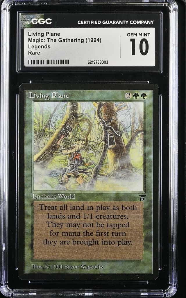 Living Plane