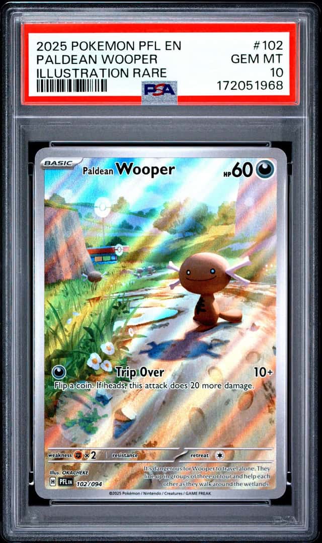 Paldean Wooper