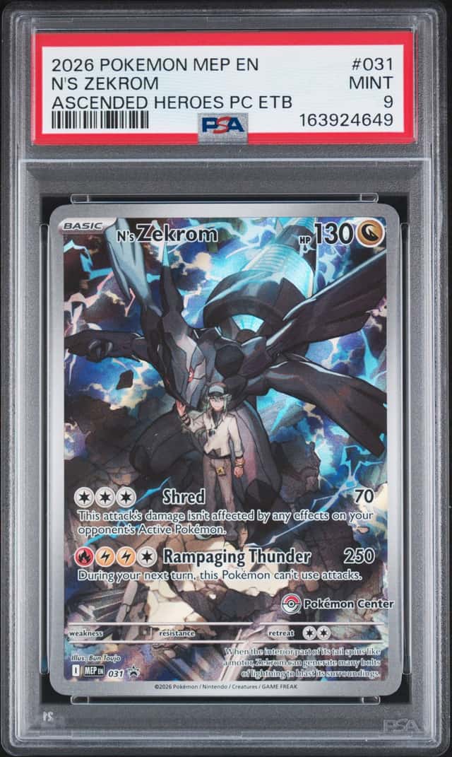 N's Zekrom