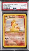 Rapidash