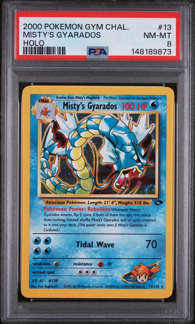 Misty's Gyarados