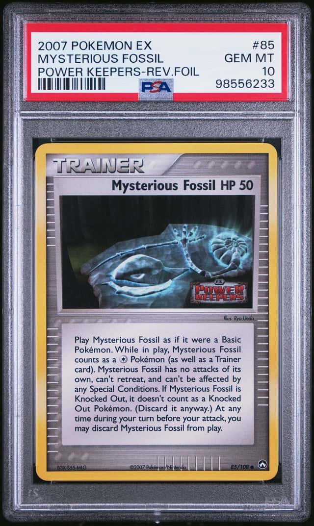 MYSTERIOUS FOSSIL