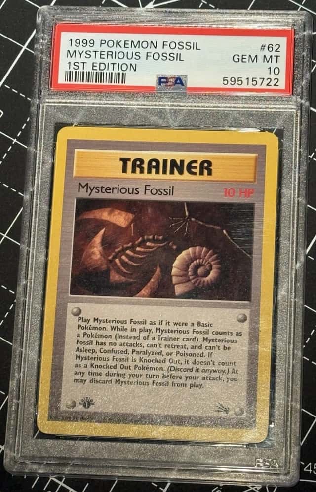 Mysterious Fossil