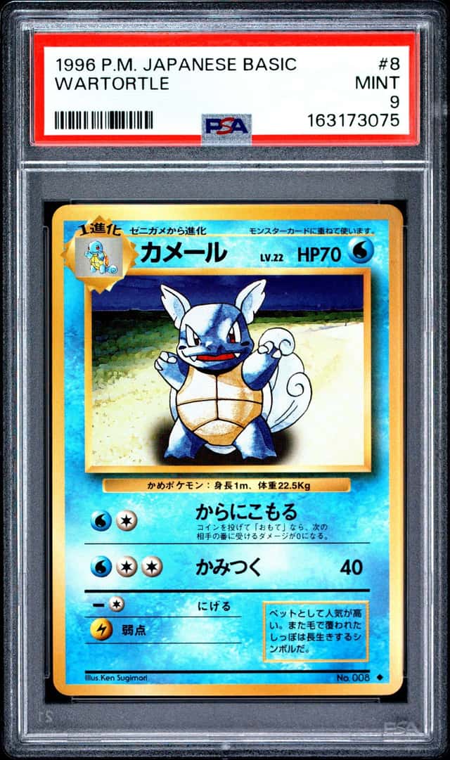 Wartortle