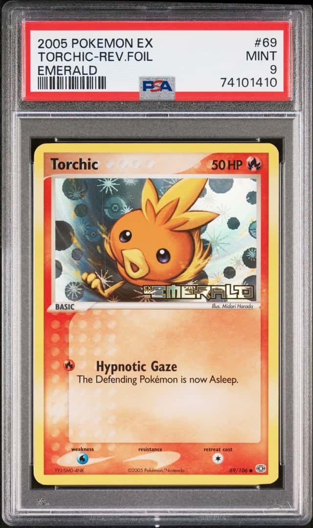 Torchic