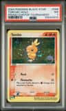 Torchic
