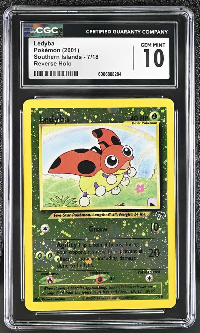 Ledyba