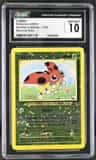 Ledyba