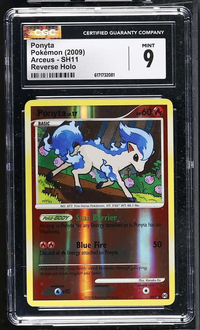 Ponyta