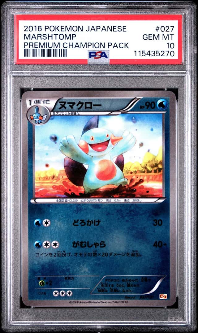 Marshtomp