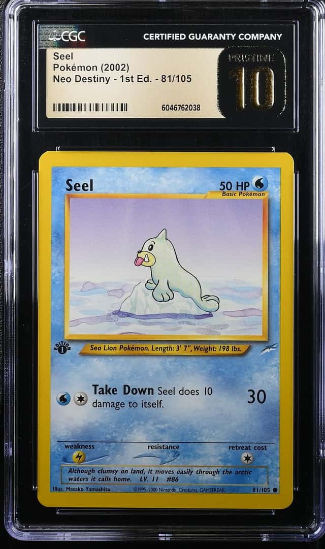 Seel