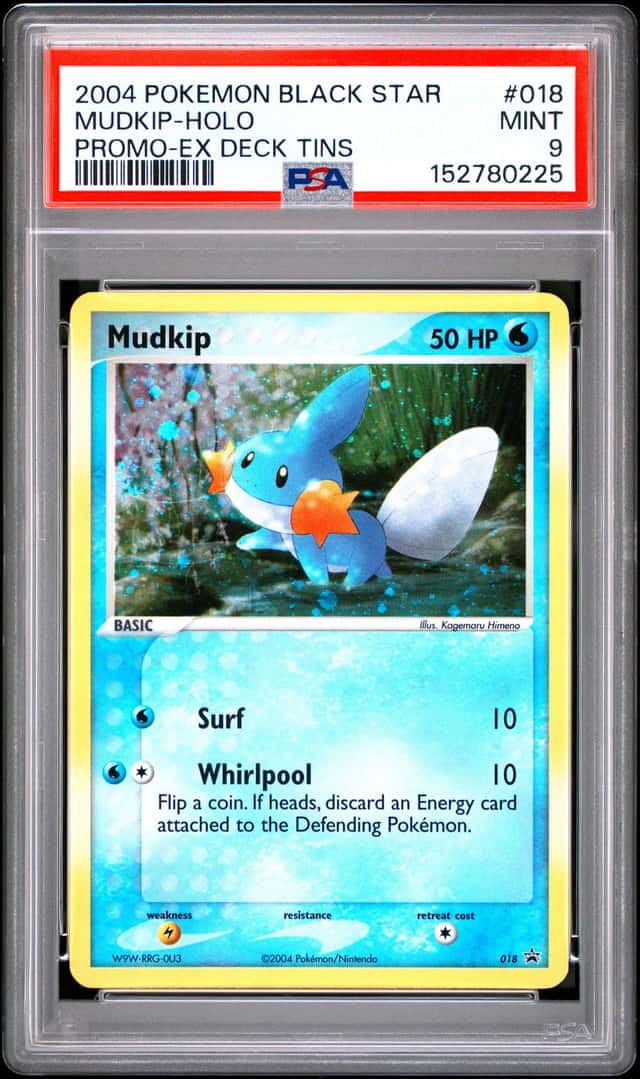 Mudkip