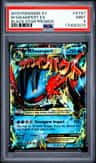 M Swampert Ex