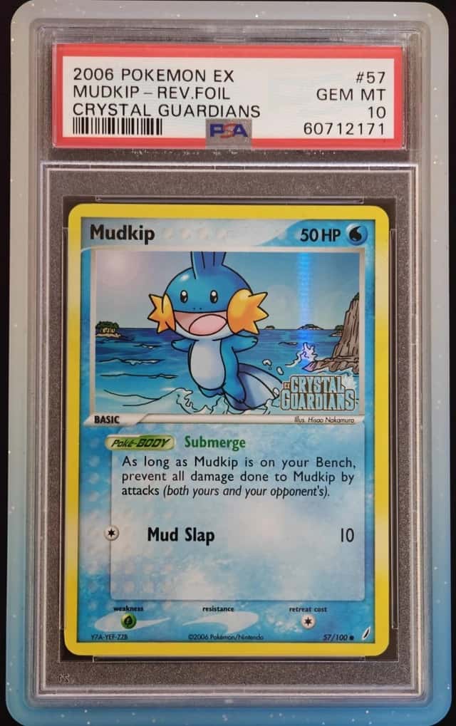 Mudkip