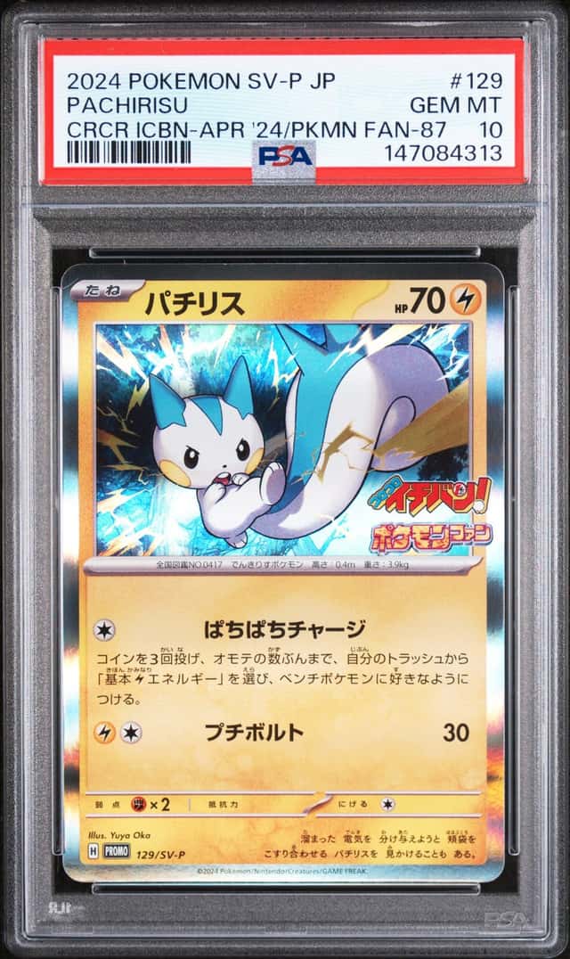 Pachirisu