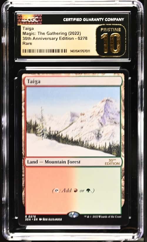 Taiga