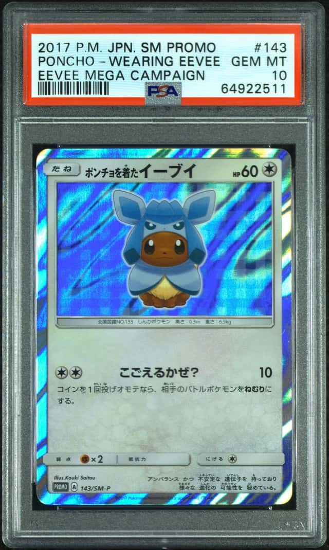Poncho-Wearing Eevee