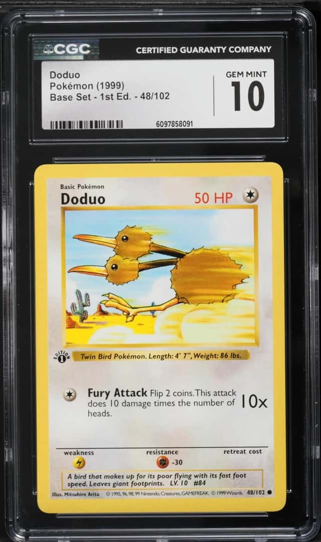 Doduo