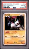 Pachirisu