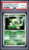 Timeless Celebi