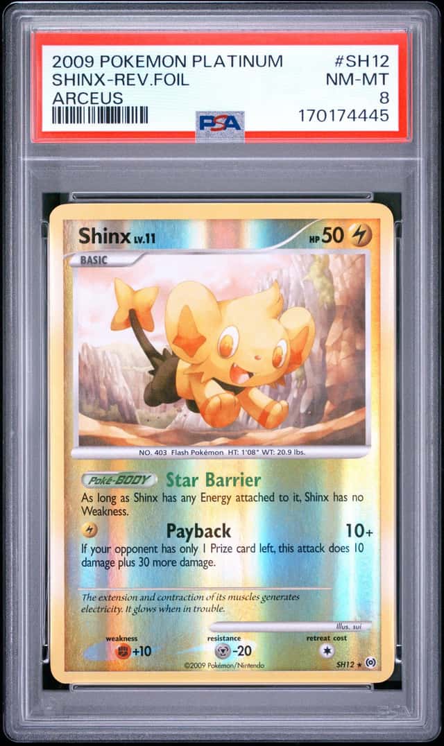 Shinx