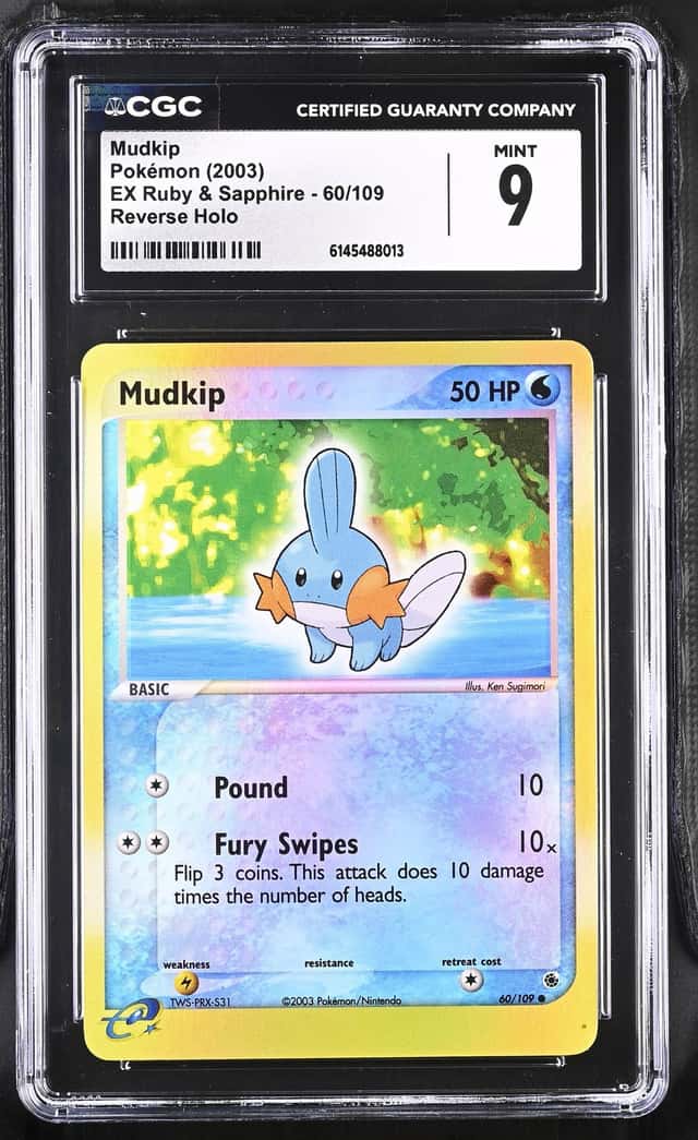 Mudkip