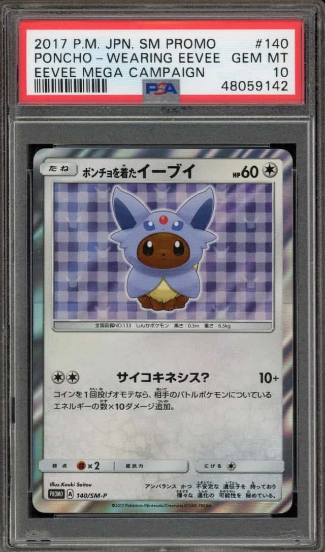 Poncho-Wearing Eevee