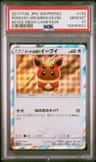 Poncho-Wearing Eevee