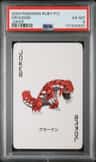 Groudon