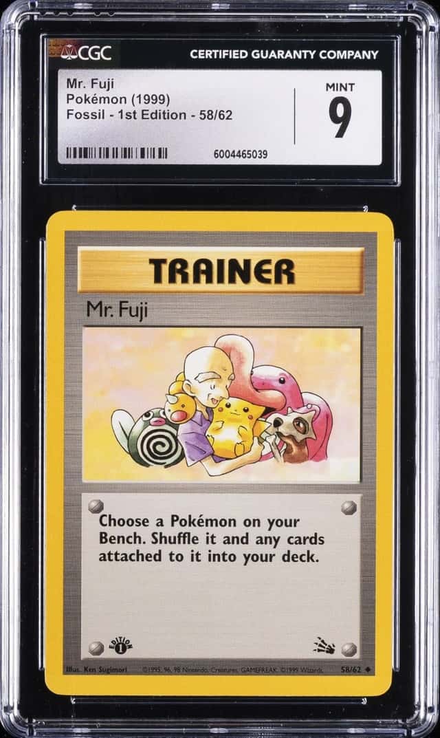 Mr. Fuji