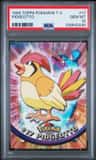 Pidgeotto