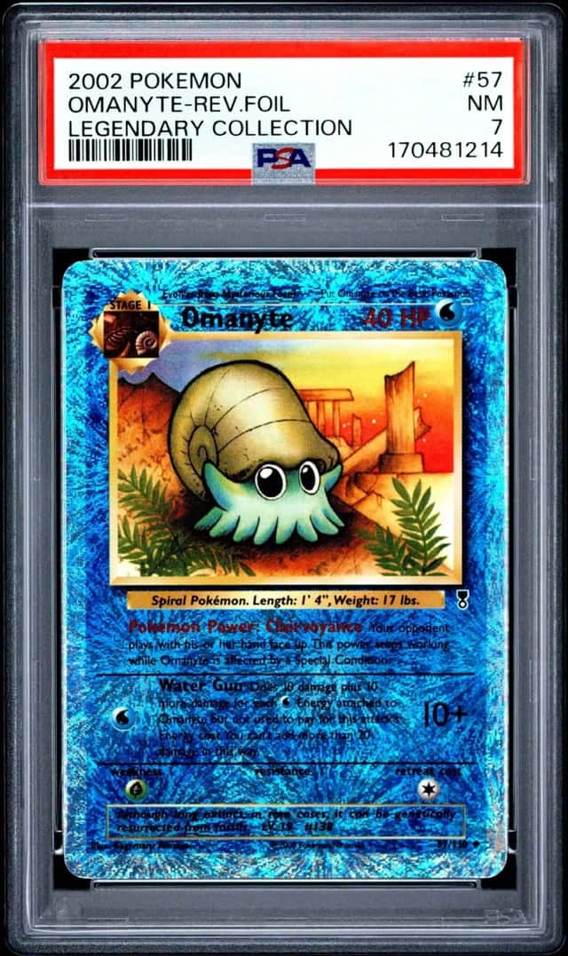 Omanyte