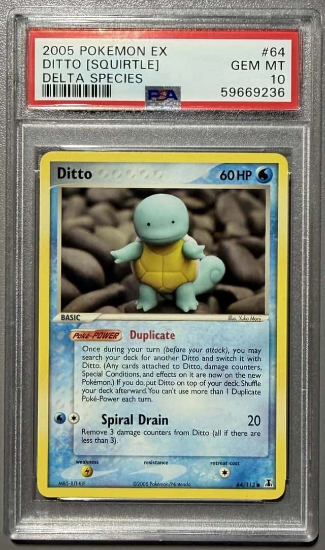 Ditto [Squirtle]