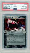 Sharpedo Ex