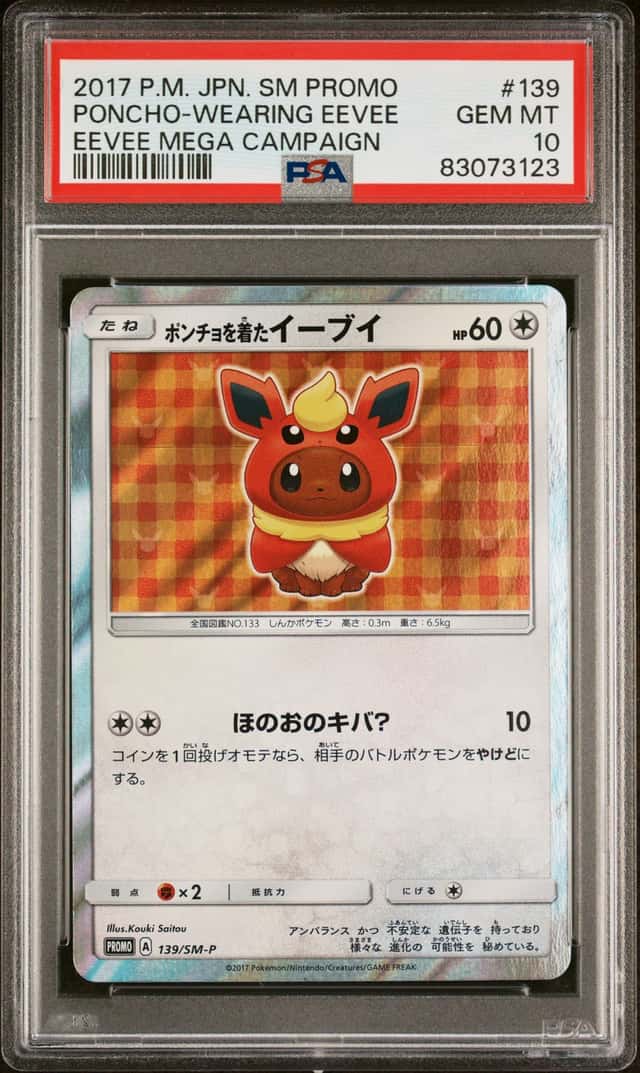 Poncho-Wearing Eevee
