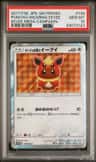 Poncho-Wearing Eevee