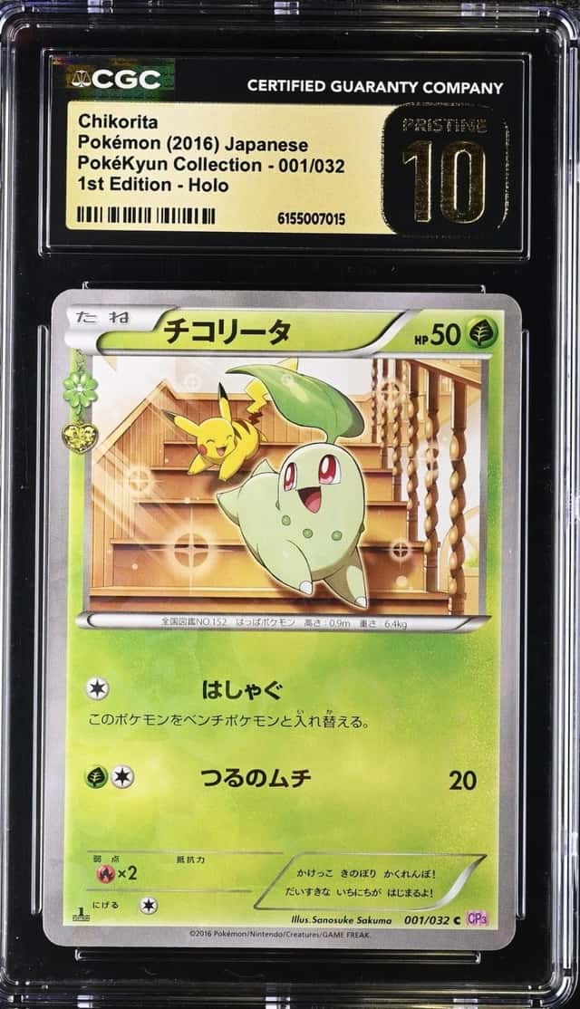 Chikorita