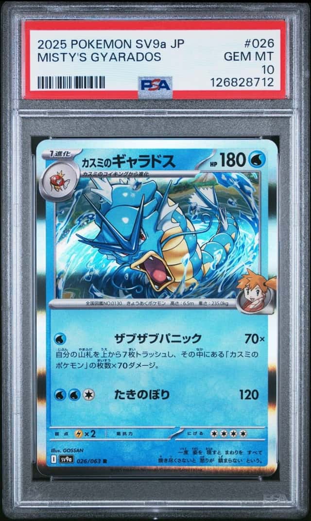 Misty's Gyarados