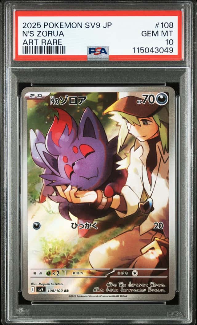 N's Zorua