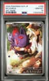 N'S Zorua