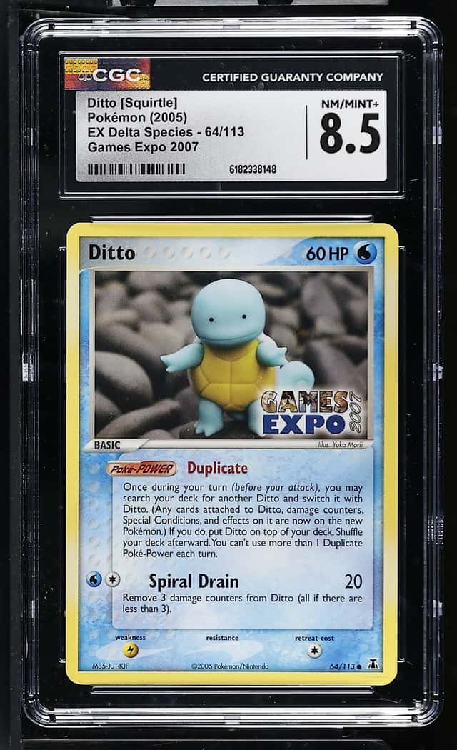 Ditto [Squirtle]