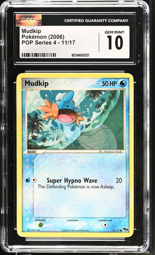 Mudkip