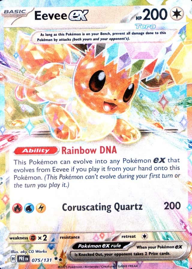 Holo