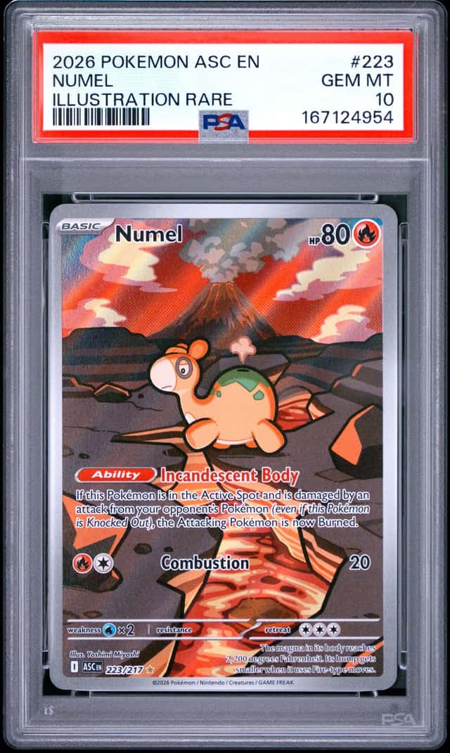 Numel