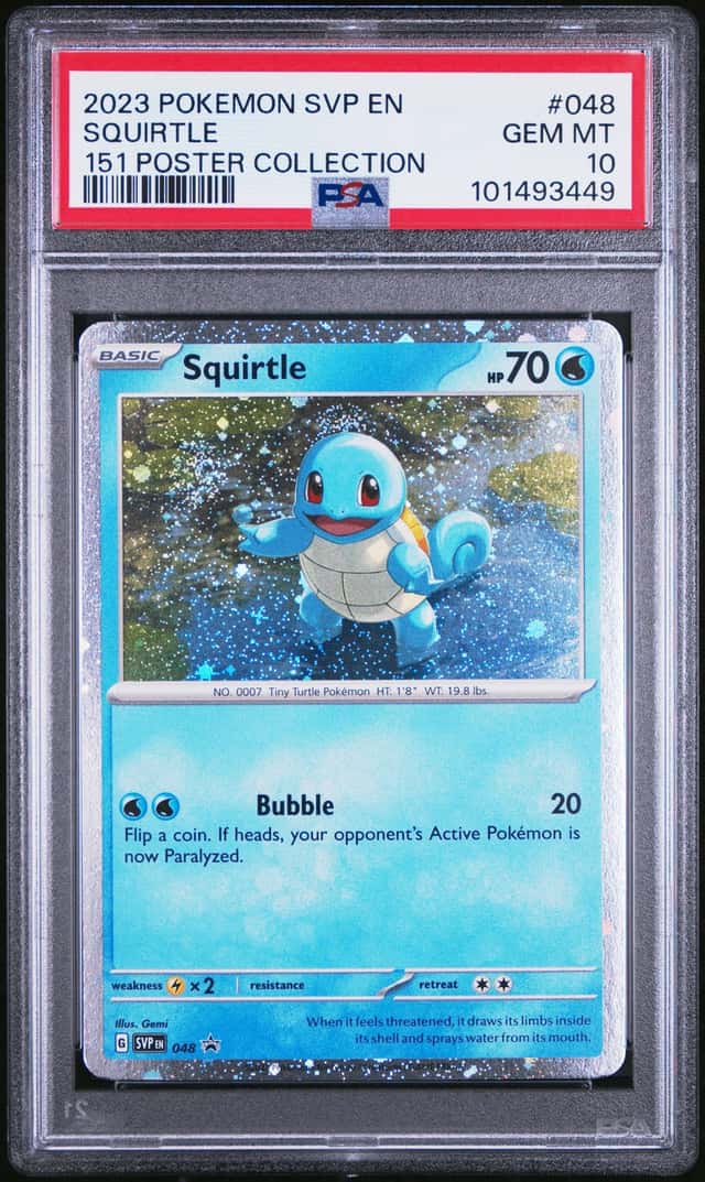 Squirtle
