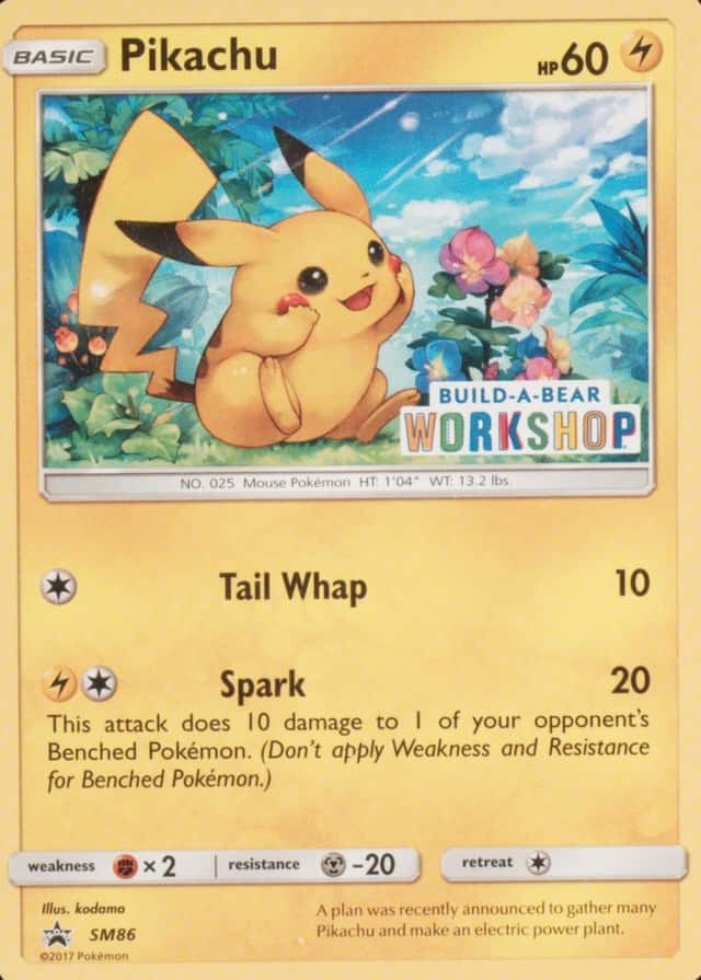 Non-Holo · A Bear Build Workshop